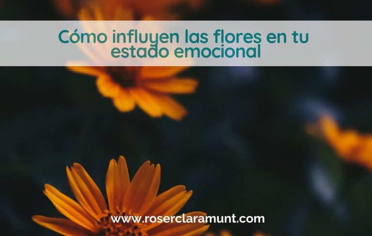 como influyen las flores en tu estado emocional - blog Roser Claramunt