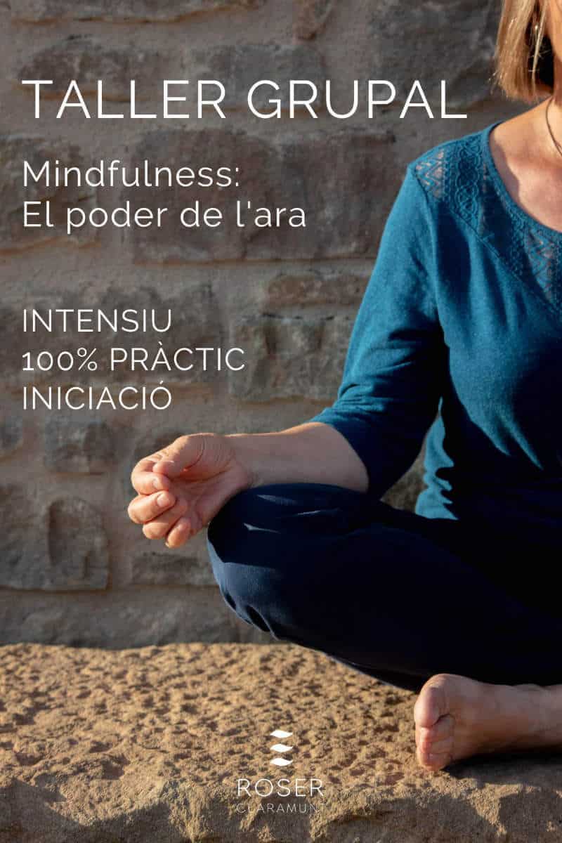 Taller Grupal Per Aprendre Mindfulness - Botiga Online Roser Claramunt