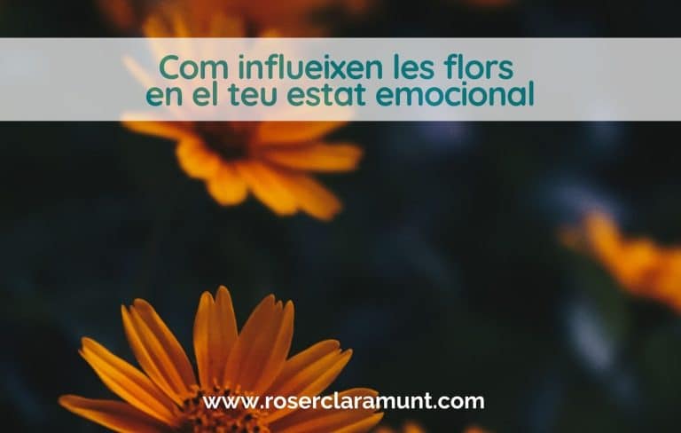 com-influeixen-les-flors-en-estat-emocional-blog-roser-claramunt