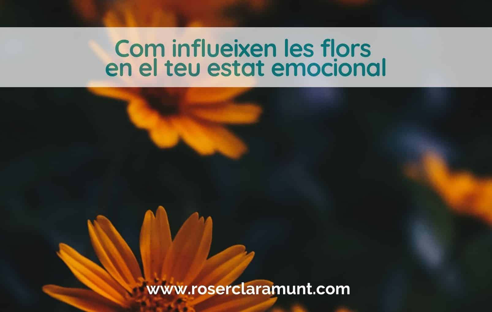 com-influeixen-les-flors-en-estat-emocional-blog-roser-claramunt